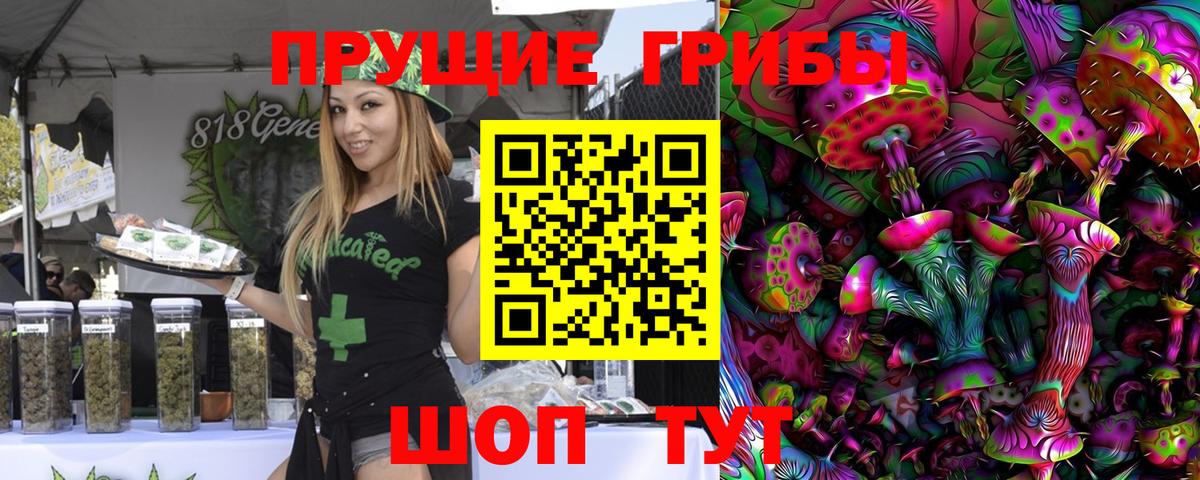 Псилоцибиновые грибы Psilocybine cubensis  Вход с VPN  Сыктывкар 