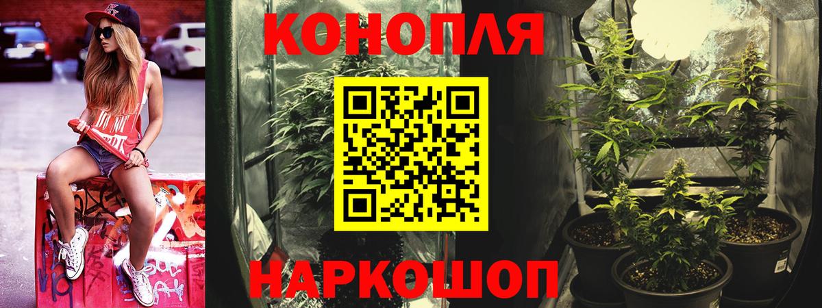 Сыктывкар  Бошки Шишки планчик  Шишки марихуана SATIVA & INDICA  Каннабис конопля  Вход с VPN  Канабис семена 